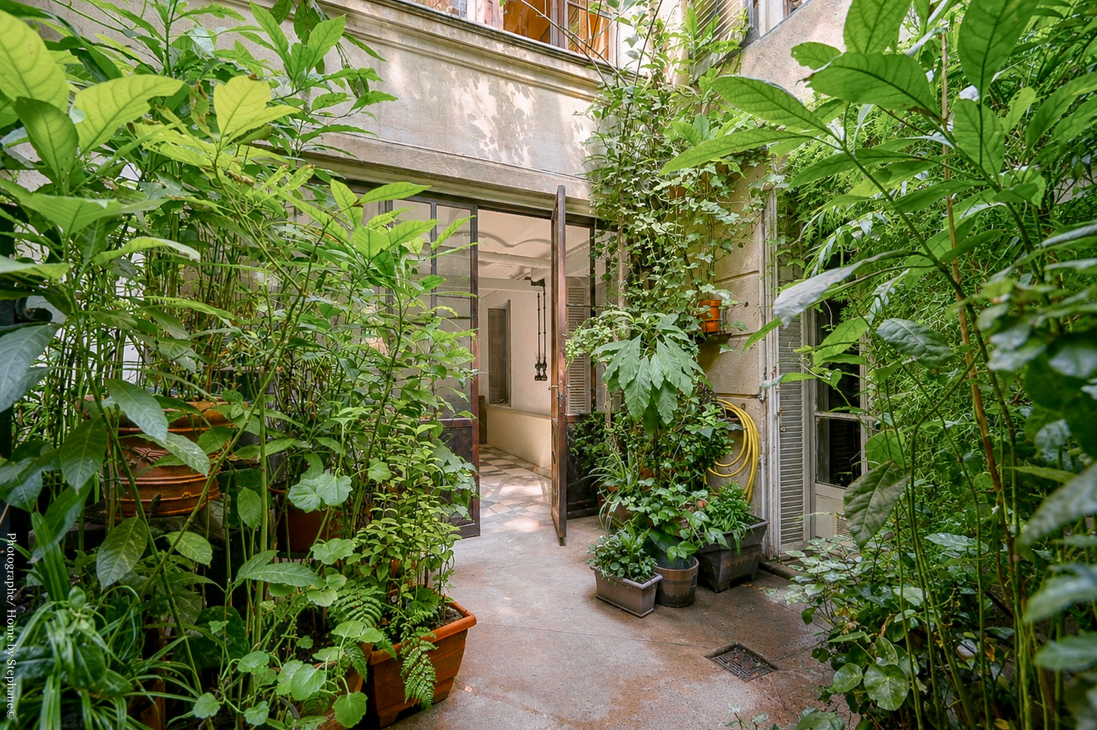 Cour commune végétalisée et luxuriante